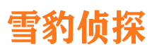 武川市私人调查